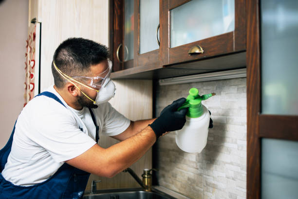 Best Pest Prevention Services  in Wilmington Manor, DE