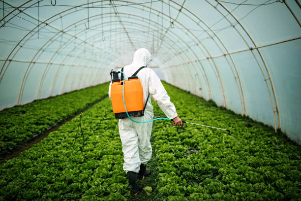 Best Emergency Pest Control  in Wilmington Manor, DE