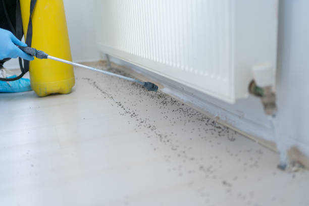 Best Wildlife Control Services  in Wilmington Manor, DE