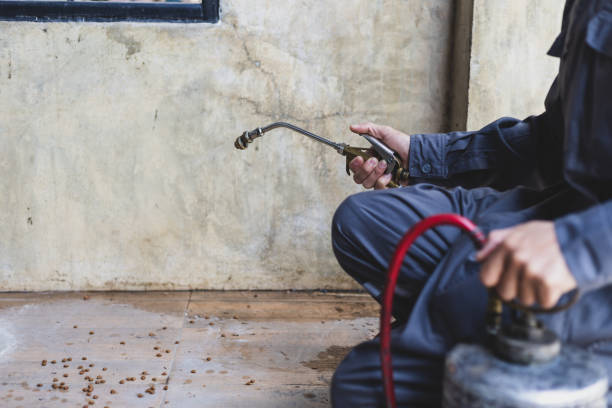 Best Best Pest Control Companies  in Wilmington Manor, DE